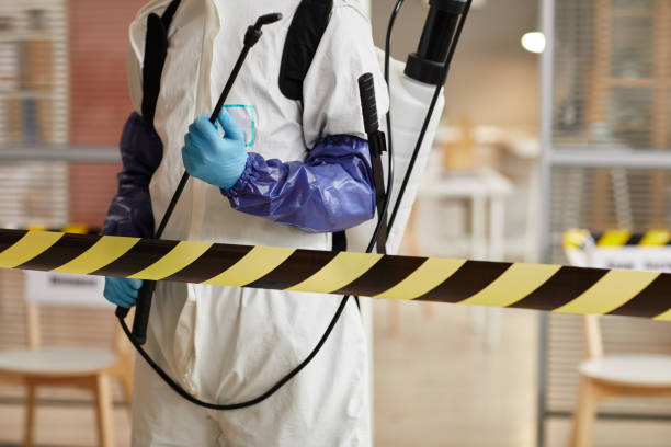 Professional Sewage Cleanup technician working in Comfort, TX